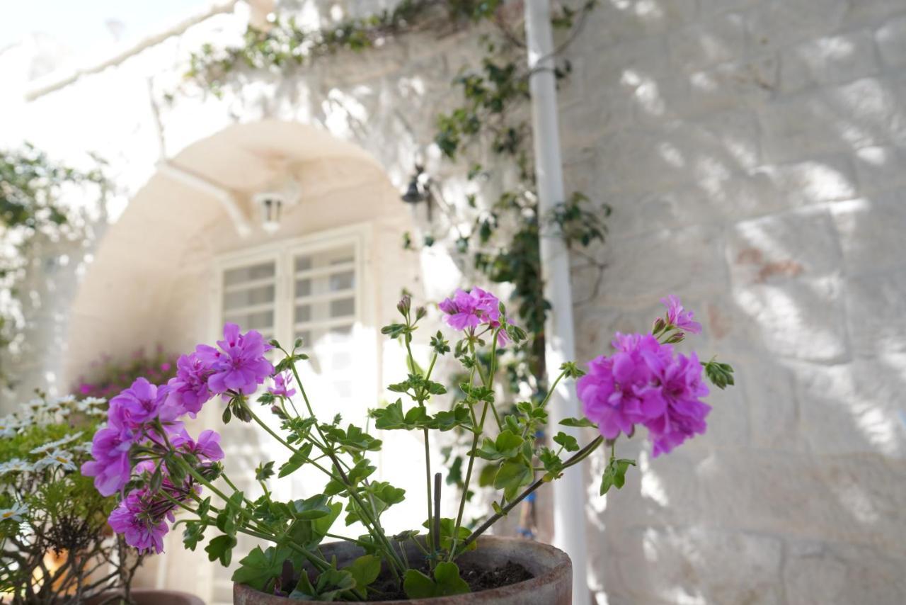 Trulli Di Puglia - Casa Vacanze In Valle D'Itria Martina Franca Buitenkant foto
