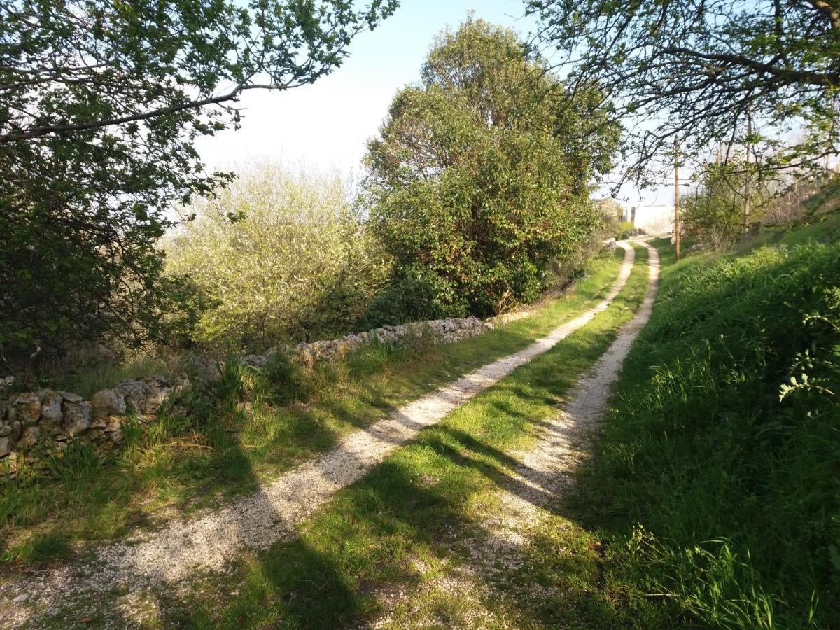 Trulli Di Puglia - Casa Vacanze In Valle D'Itria Martina Franca Buitenkant foto