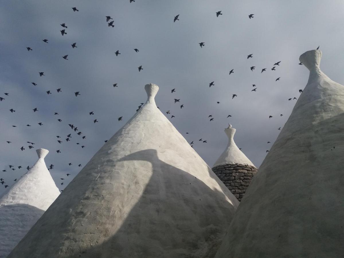 Trulli Di Puglia - Casa Vacanze In Valle D'Itria Martina Franca Buitenkant foto