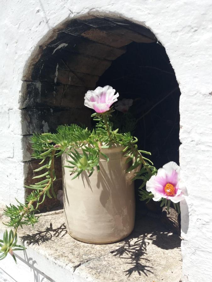 Trulli Di Puglia - Casa Vacanze In Valle D'Itria Martina Franca Buitenkant foto