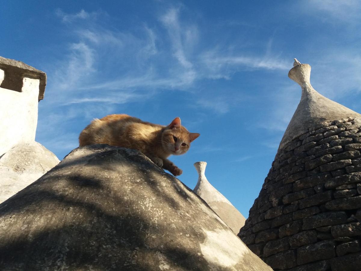 Trulli Di Puglia - Casa Vacanze In Valle D'Itria Martina Franca Buitenkant foto